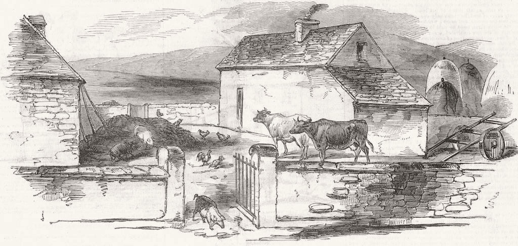 IRELAND. Rynard 1846 old antique vintage print picture